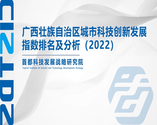 亚洲插逼逼啊啊啊【成果发布】广西壮族自治区城市科技创新发展指数排名及分析（2022）